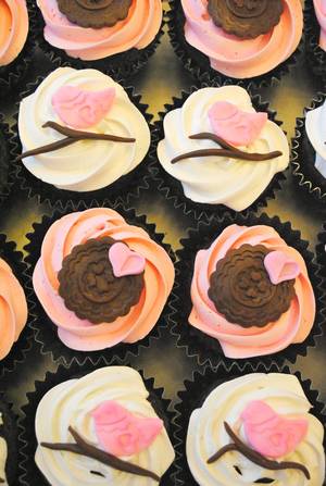 Lil Cupcake Porn - Baby Shower Cupcakes