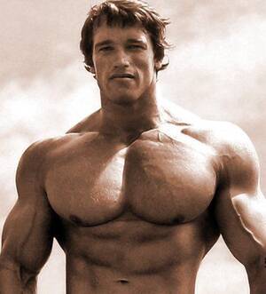 Arnold Schwarzenegger Gay Porn - Why can't you gain muscle? | Schwarzenegger bodybuilding, Arnold  schwarzenegger bodybuilding, Arnold schwarzenegger