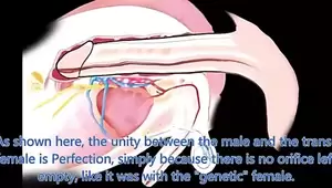 anatomy shemale porn - Shemale Anatomy | xHamster