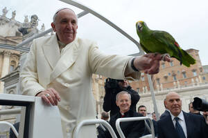 Bird Watching Porn - Pope Francis Blessed the Bird of an Exotic Film Actor | Time