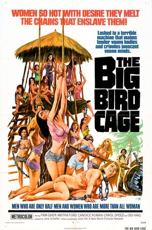 1972 Prison Porn Movies - The Big Bird Cage (1972)
