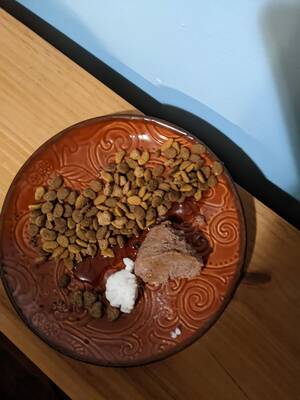No Food Porn - since there's no shitty pet food porn...my cat's charcuterie (charkitterie)  : a serving of dry food with a half serving of wet, garnished with coconut  oil and anti-hairball treat treats. served with tuna flavored cat laxative  coulis. : r/shittyfoodporn