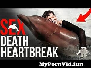 Fucking Dolphin Porn - Dolphin Su*cide After This | Dolphin S*xual Behavior | Animal Geographic  from dolphin fuck girl porn Watch Video - MyPornVid.fun