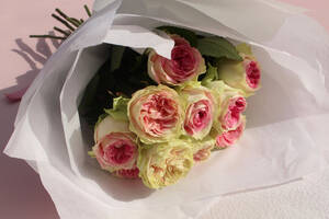 black rose hentai foundry - Cut blooms | 6