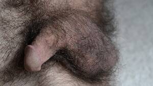 hairy cock shaft - Hairy Penis Gay Porn Videos | Pornhub.com