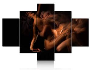 Black Porn Paintings - Amazon.com: Black Art Paintings for Wall Sexual Decor Erotic Pictrues 5  Pcs/Multi Panel Canvas Having Sex Artwork Home Decor for Living Room Framed  Gallery-wrapped Ready to Hang Posters and Prints(60''Wx40''H): Posters &