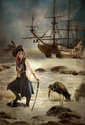 Art Blonde Female Pirate Porn - \