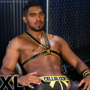 black porn star xl - XL | Hung Handsome Black American Gay Porn Star | smutjunkies Gay Porn Star  Male Model Directory