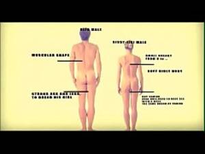 anatomy shemale porn - Transsexual Anatomy - xxx Mobile Porno Videos & Movies - iPornTV.Net