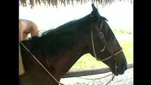 black mare fuck - Fucking while riding a horse - XVIDEOS.COM
