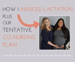 induced lactating lesbians - If you missed it - I'm inducing lactation and we're planning on