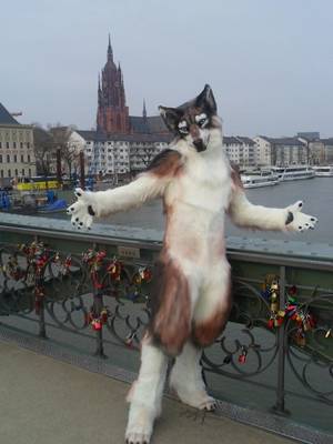Human Furry Costume Porn - This image was taken at the fursuit walk in Frankfurt, Germany. The  temperature was close to freezing point with cold artic winds.