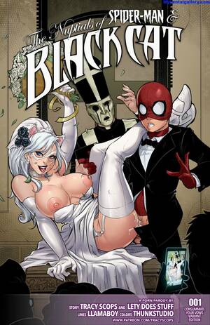Black Cat Harley Quinn Spider Man Porn - Black Cat - sorted by number of objects - Free Hentai