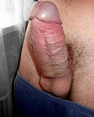 beer can uncut cocks - Beer Can Thick Cock - Sexdicted