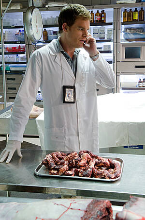 Dexters Lab Lesbian Porn - Dexter Daily: The No. 1 Dexter Community Website: Showtime Boss David  Nevins Talks The End of Dexter