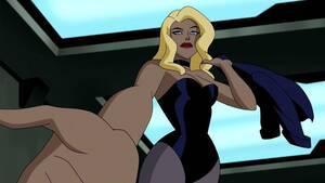 Black Canary Vixen Porn - Black Canary - Top 10 Animated Appearances From Worst to Best