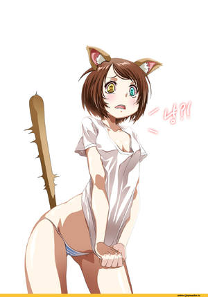 Anmla Anime Cat Porn - Anime cat girl