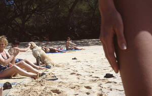 nude beach freedom - the new shelton wet/dry