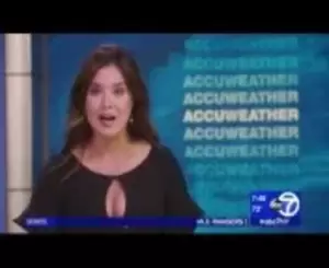 Aimee Freeze - Amy Freeze Brassiere Buster Puts Puppies On Full Display August 12, 2018  from brassierx Watch Video - MyPornVid.fun