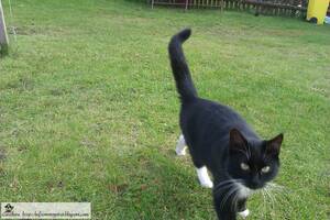 Ma%c5%82e Fiuty - Ma C5 82e Fiuty | Sex Pictures Pass