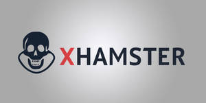 Hamster Porn Site - xHamster breach pops 380,000 porn account login details on the internet