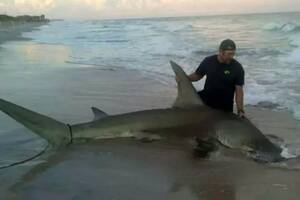 amateur naked beach people - Amateur fisherman says 'insane' 13-foot hammerhead shark catch 'was like  lifting car' - Daily Star