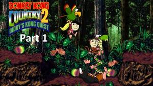 Donkey Kong Cartoon Porn - Donkey Kong Country 2: Diddy's Kong Quest \