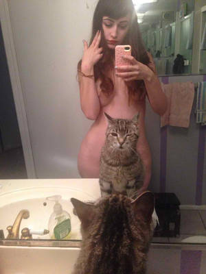 Cats Amateur Porn - Indifferent cats in amateur porn
