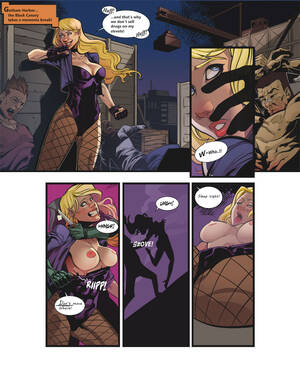 dc flash xxx - DC Comics - Black Canary: Ravished Prey Issue 1 fuck