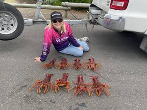 Heavy Lobster Porn - A boat limit of 8 lobsters today. : r/Fishing