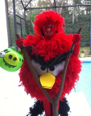 Angry Birds Cosplay Porn - Angry Birds costume! | Angry birds halloween costume, Angry birds costumes,  Halloween 2016