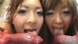 Japanese Bestiality - Compilation of all the hottest Japanese bestiality