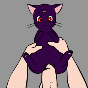 Cat Sailor Moon Porn - Rule 34 - animated aogami bishoujo senshi sailor moon cat female luna (sailor  moon) male nekojiro zoophilia | 1450692