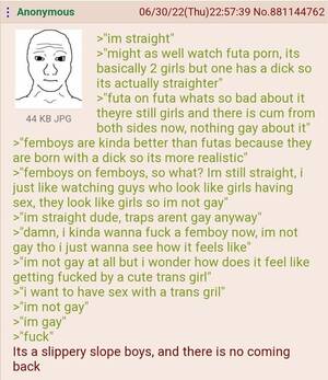 4chan Futa Porn - Anon is straight : r/greentext
