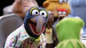 Muppet Gonzo Porn - 6 Signs Gonzo Has Been Wearing The Wrong Bra Size For Years - ClickHole