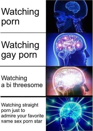 Bisexual Sex Memes - Porn. : r/bisexual
