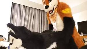 Furry Suit Porn - Play fursuit with friend - XXXi.PORN Video