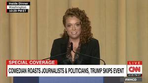 Michelle Schoolgirl Porn - 7 targets Michelle Wolf took aim at during the White House Correspondents'  Dinner https:
