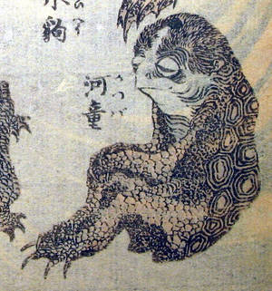 Japanese Kappa - Japanese Kappa Spirit A Giant Salamander