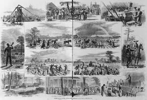 Black Slaves Old South Porn - Value and Its Sources: Slavery and the History of Art â€“ ARTnews.com