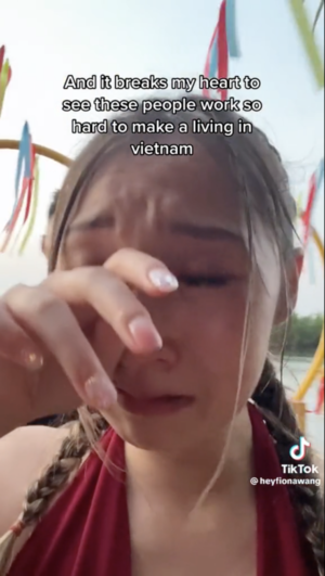 Crying Porn Captions - TikToker films herself crying over Vietnamese woman who rowed her coconut  boat, criticised for 'poverty porn' - Babelfish