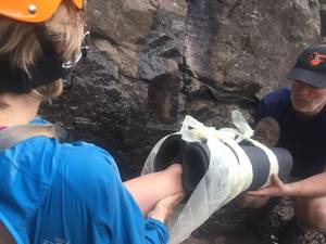 Deborah Couples Porn - Now that I am no longer in constant pain, and I'm off prescription pain  killers (yes! because that was scary), it seems a good time to ease back  into ...