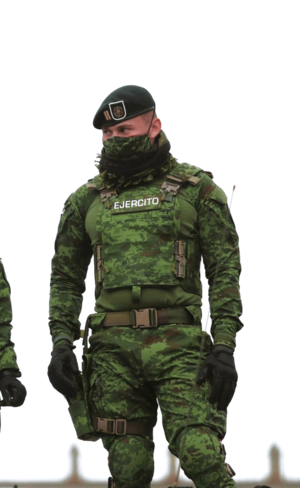 Mexican Military Porn - Mexican army special forces corps officer wearing the modernized 'SEDENA  pixel green' uniform [600x1000] : r/MilitaryPorn