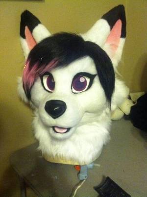 Female Only Furry Suit Porn - Now wouldn't this be perfect for Katalist. Fursuit head and photos are by