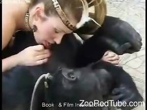 Monkey Porn Bestiality - big-boobed hottie is playing with an exotic black monkey