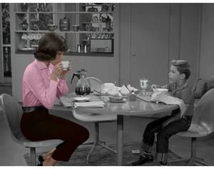 Laura Petrie Sexy - INSPIRED BY: Laura Petrie- In Color