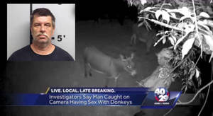 Caught Having Sex At School - SMH: Man Caught On Camera Stroking Donkey Before Having Sex With It!