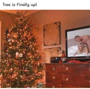 Christmas Sex Memes Porn - Tree is finally up! : r/trashy
