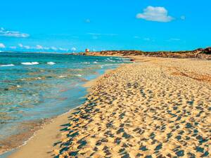 ibiza nude beach sex - A local's guide to Ibiza: 10 top tips | Ibiza holidays | The Guardian
