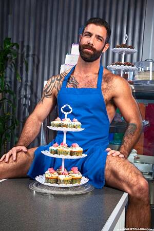Cakes Gay Porn - Let them eat cake | Arnold Zwicky's Blog